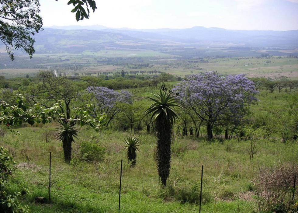 Villa Mon Desir Pietermaritzburg Exterior foto